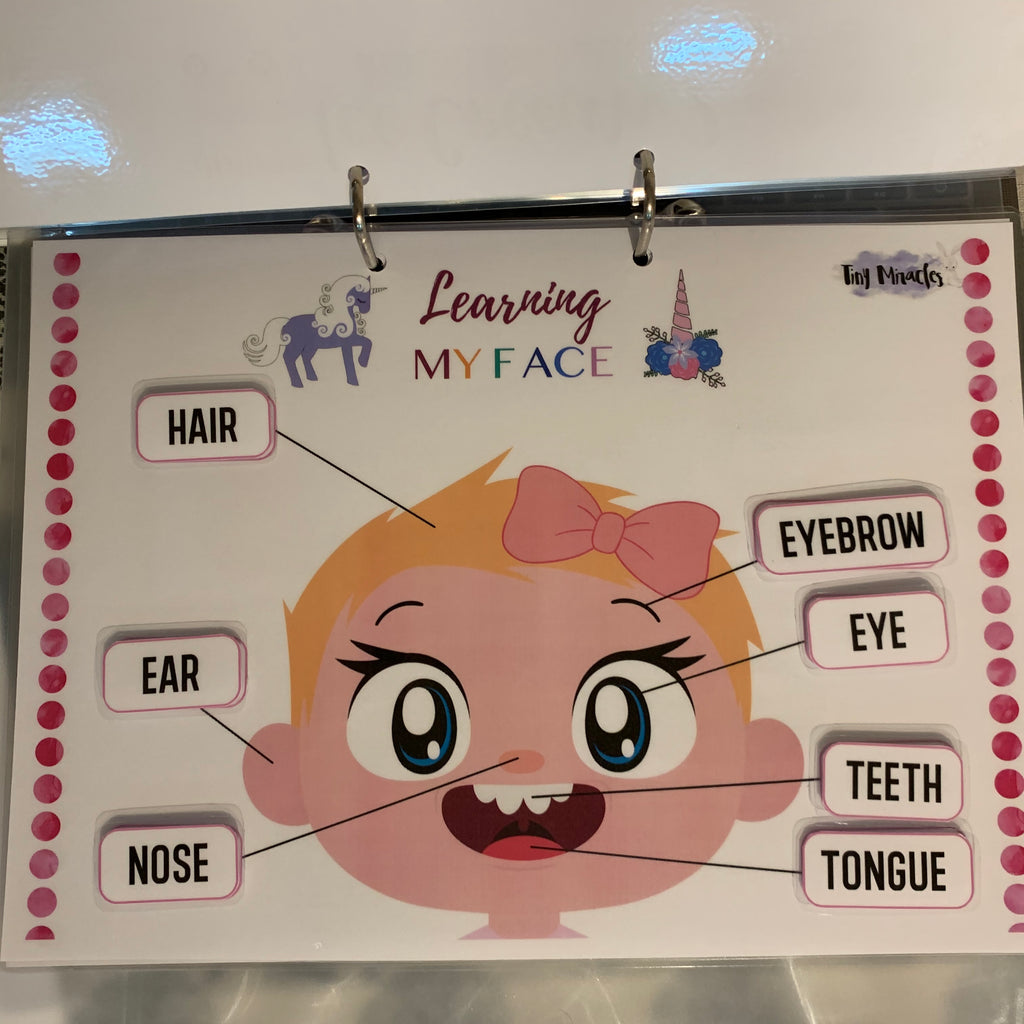 Parts of the Face | Label Matching Activity for Toddlers (English or Chinese)