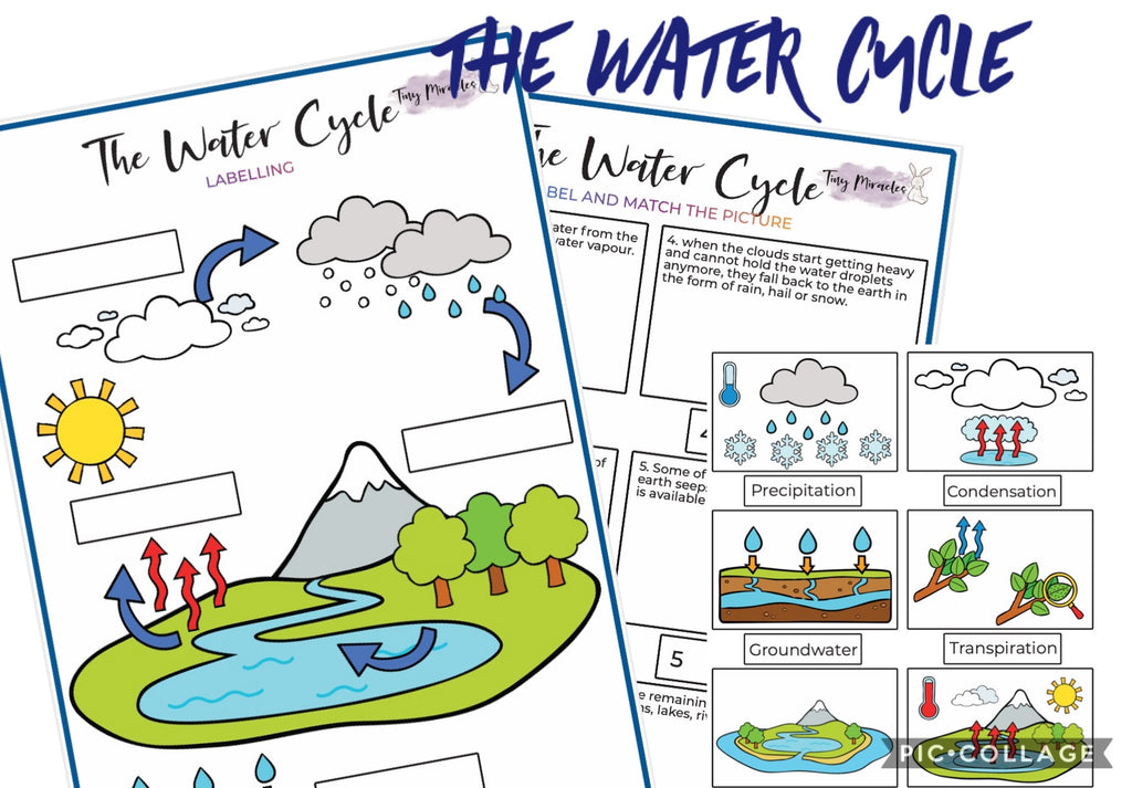 Educational materials about the water cycle with labeled diagram and matching activities.