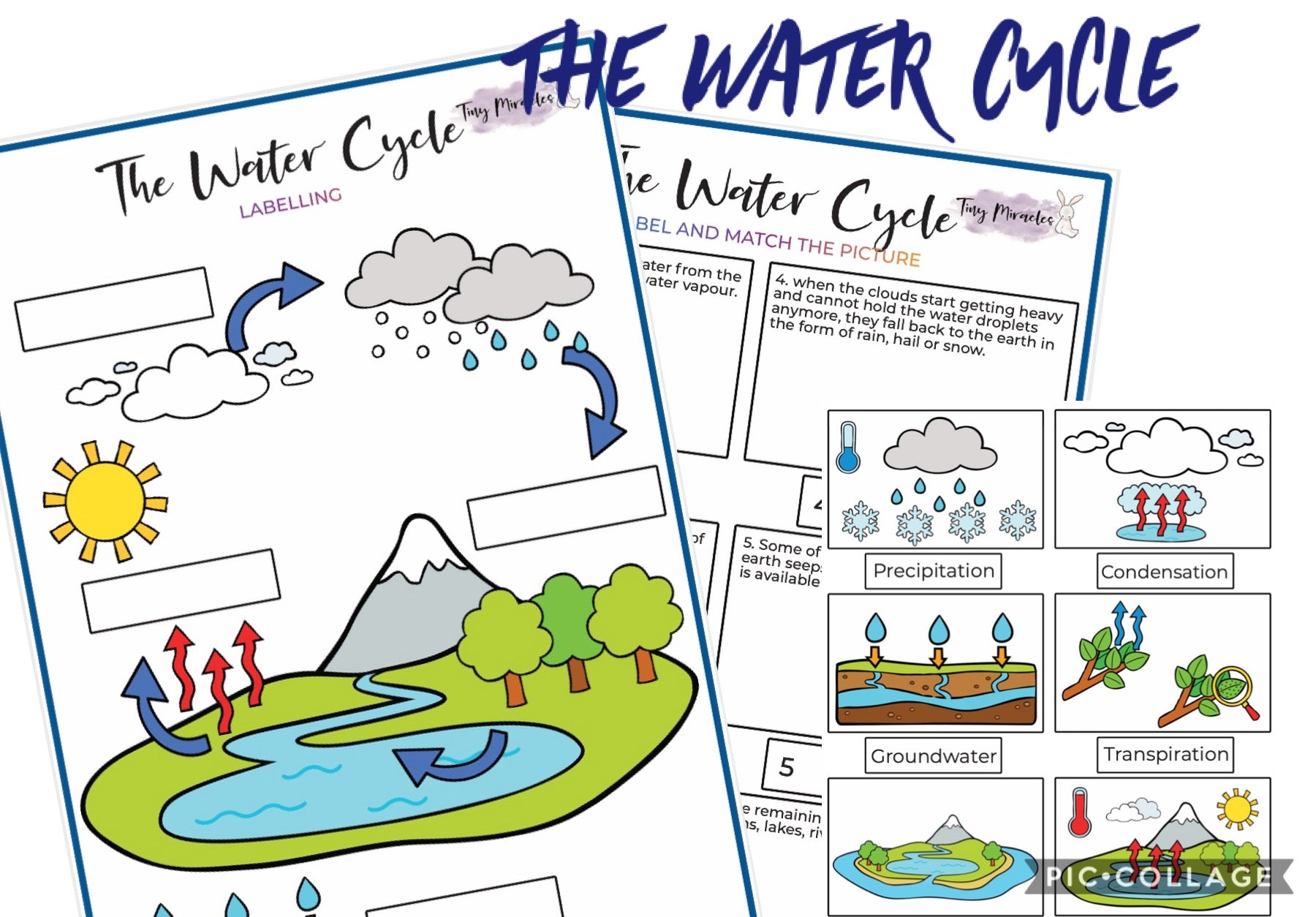 Educational materials about the water cycle with labeled diagram and matching activities.