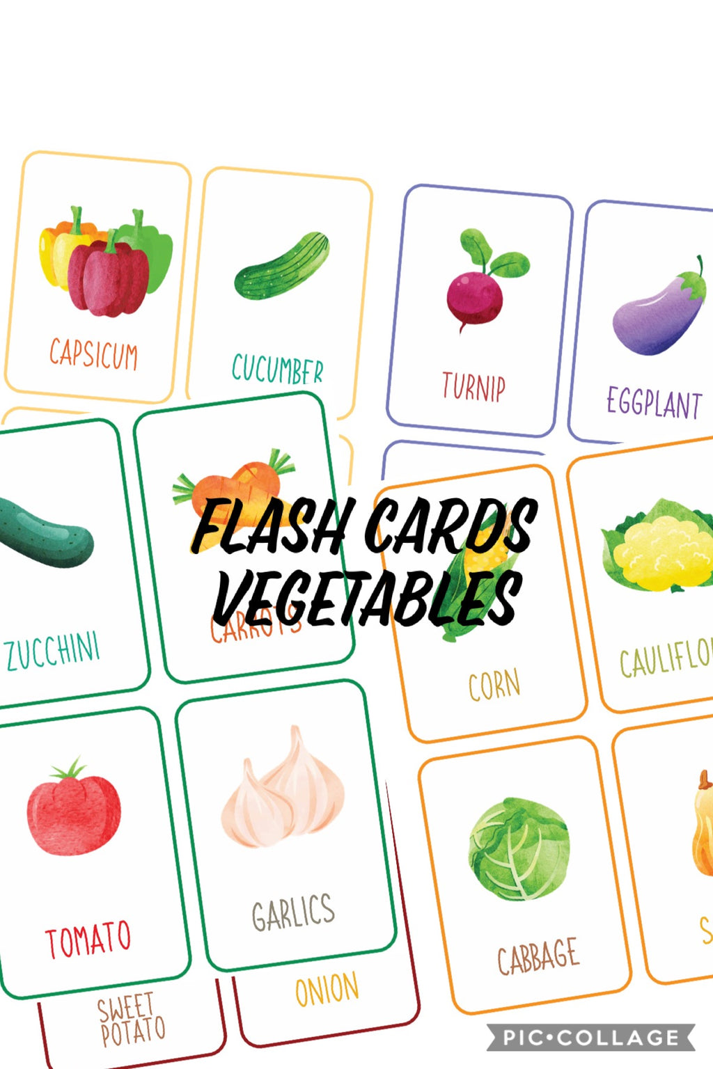 Vegetable Flash Card in English (FC06)