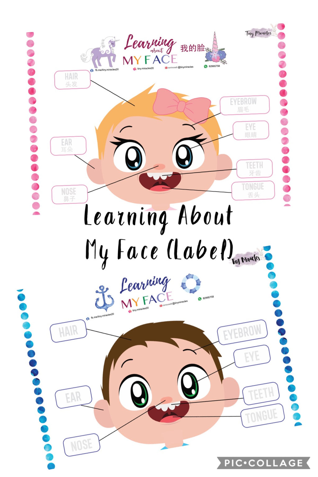 Parts of the Face | Label Matching Activity for Toddlers (English or Chinese)