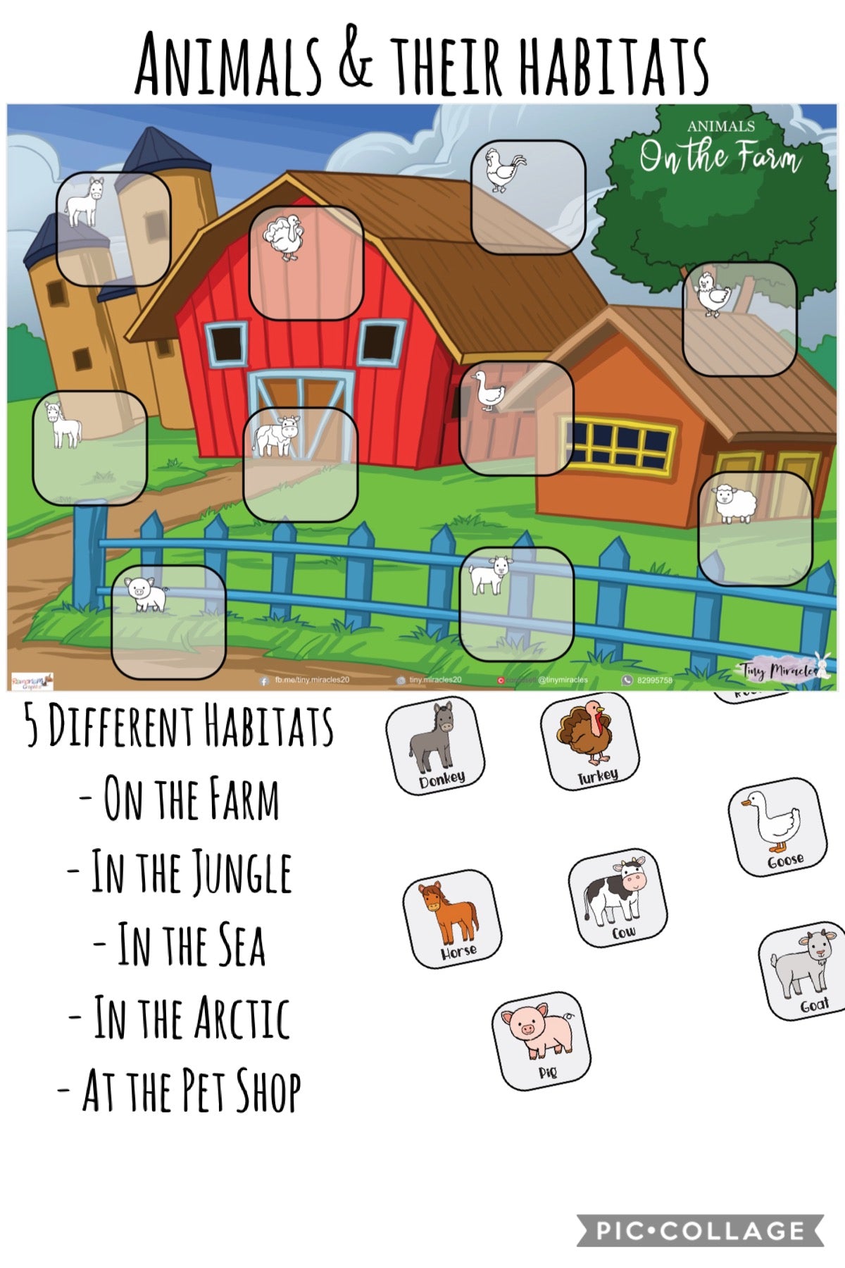 Animals & Their Habitats (OW45)