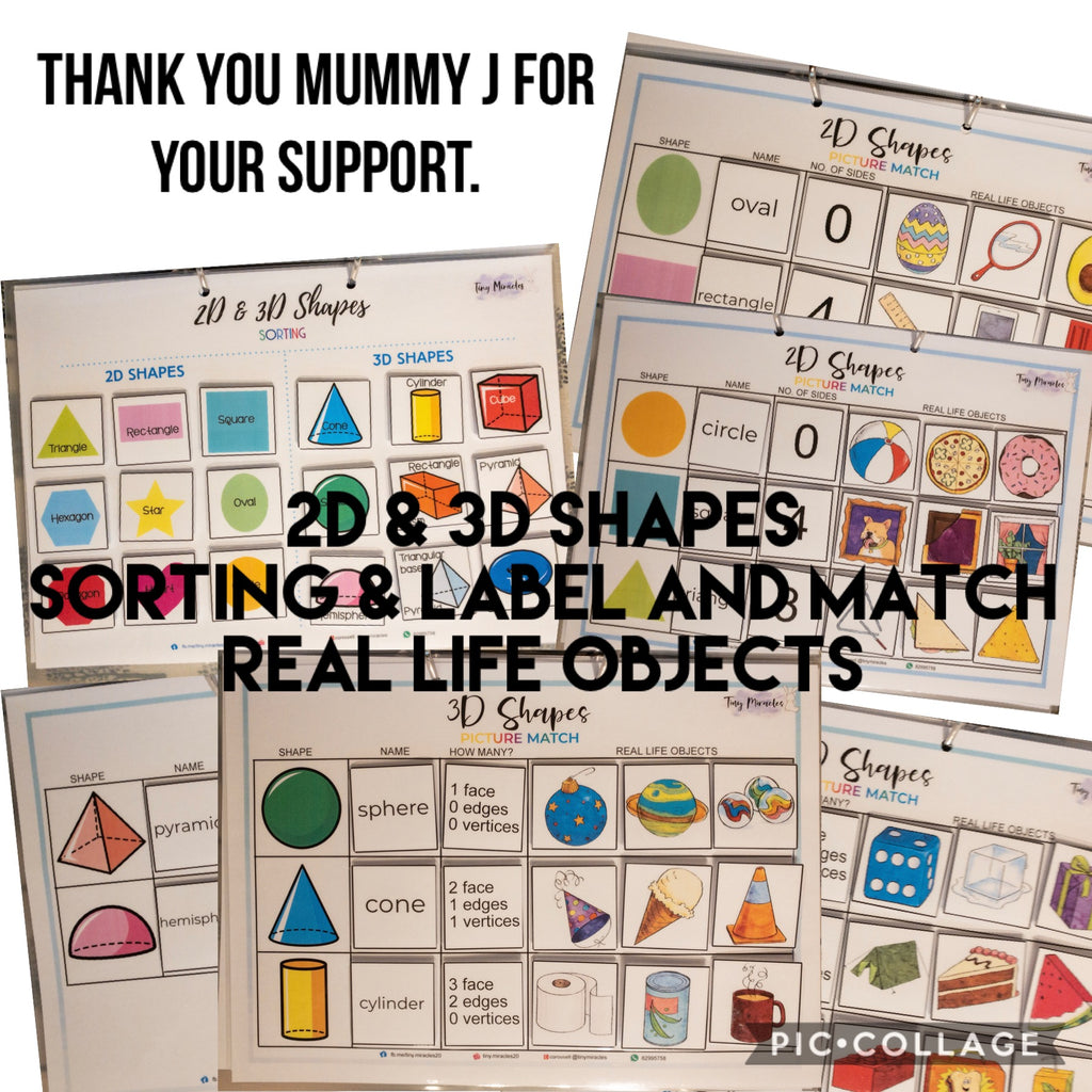 Educational materials for sorting and labeling 2D and 3D shapes with real-life objects.