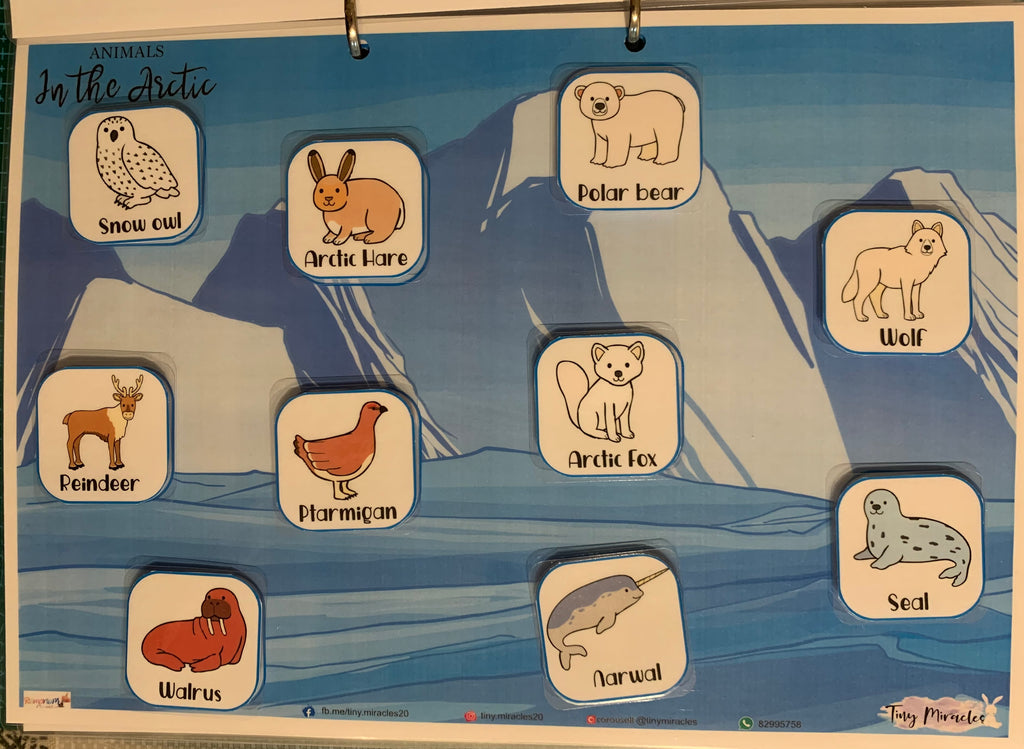 Animals & Their Habitats (OW45)