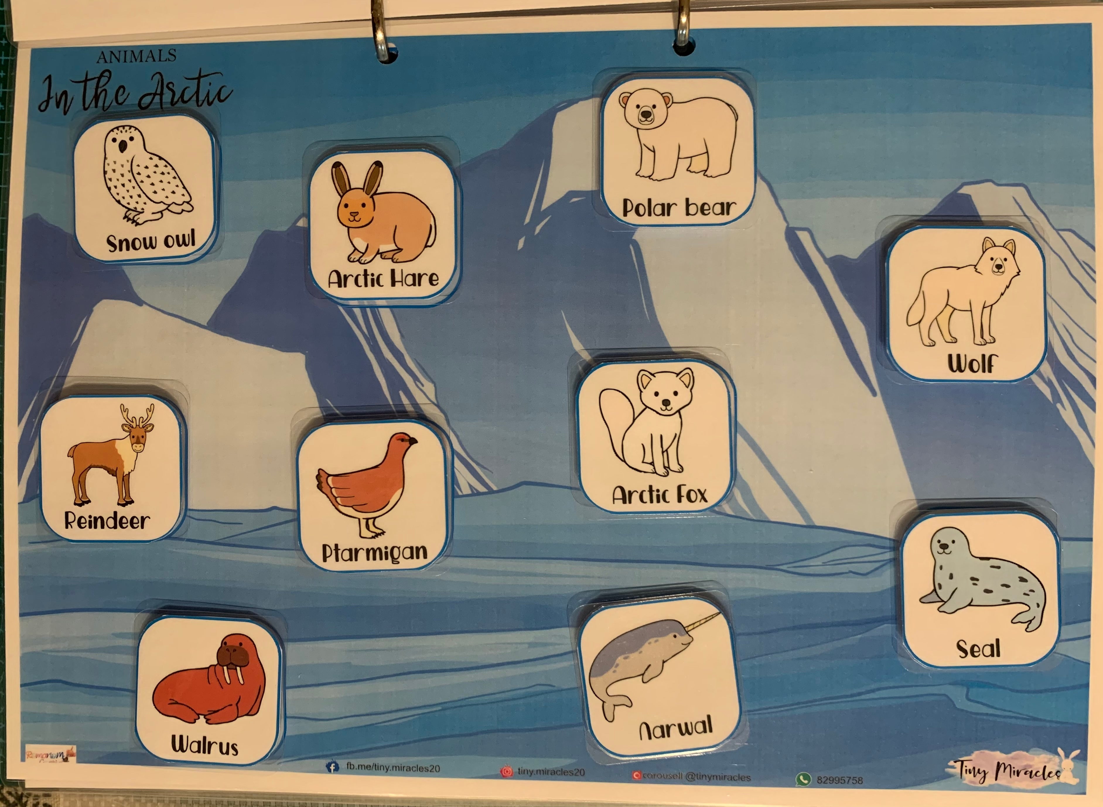 Animals & Their Habitats (OW45)
