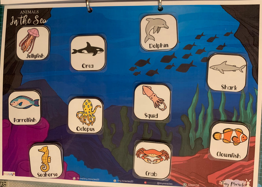 Animals & Their Habitats (OW45)