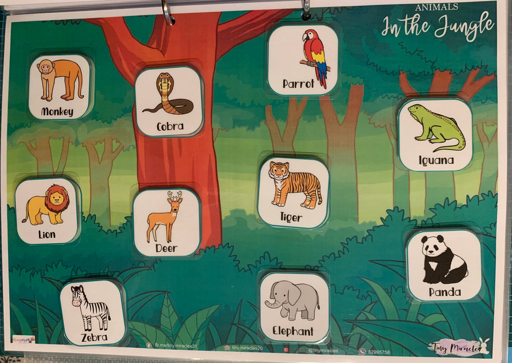 Animals & Their Habitats (OW45)