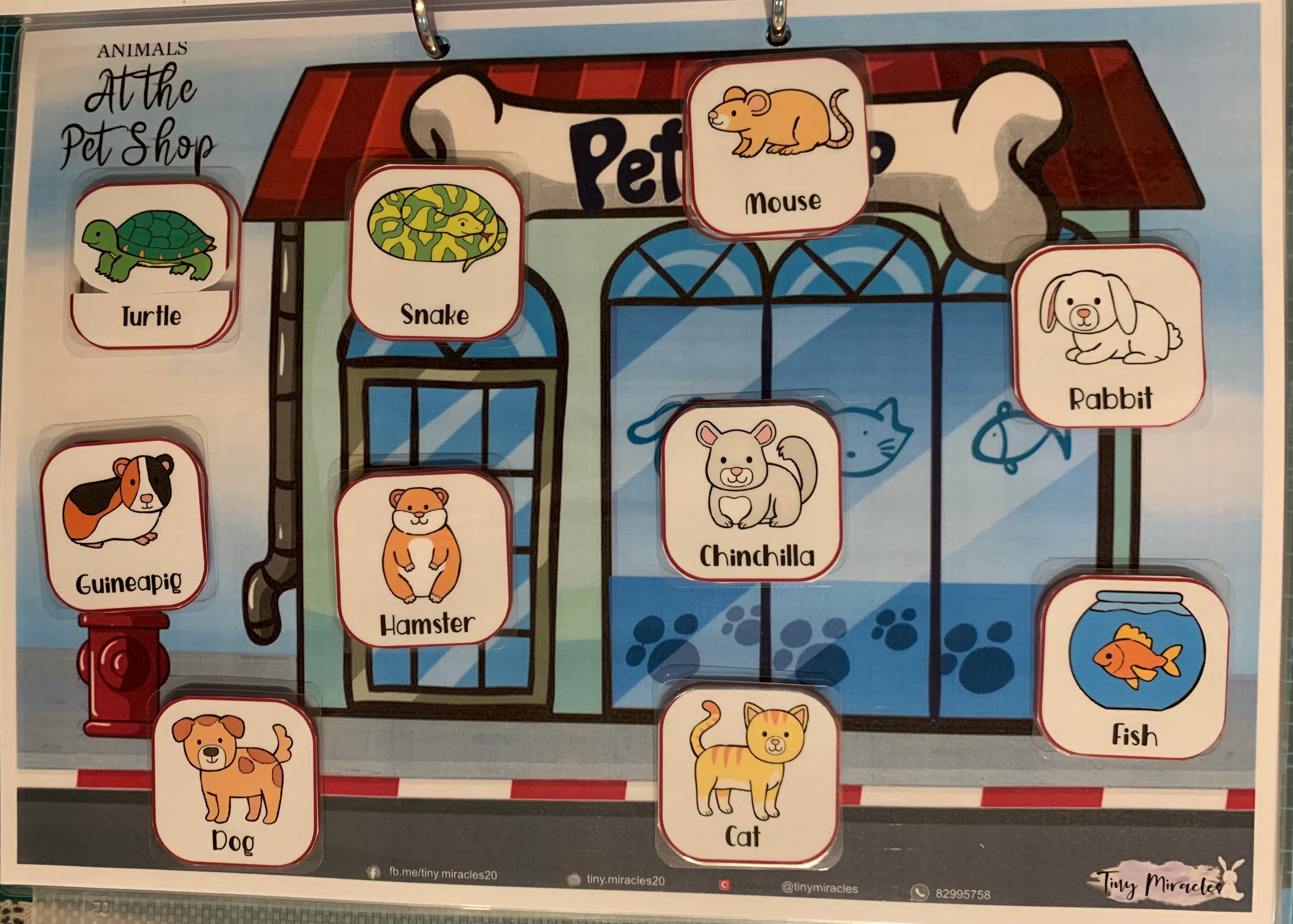 Animals & Their Habitats (OW45)