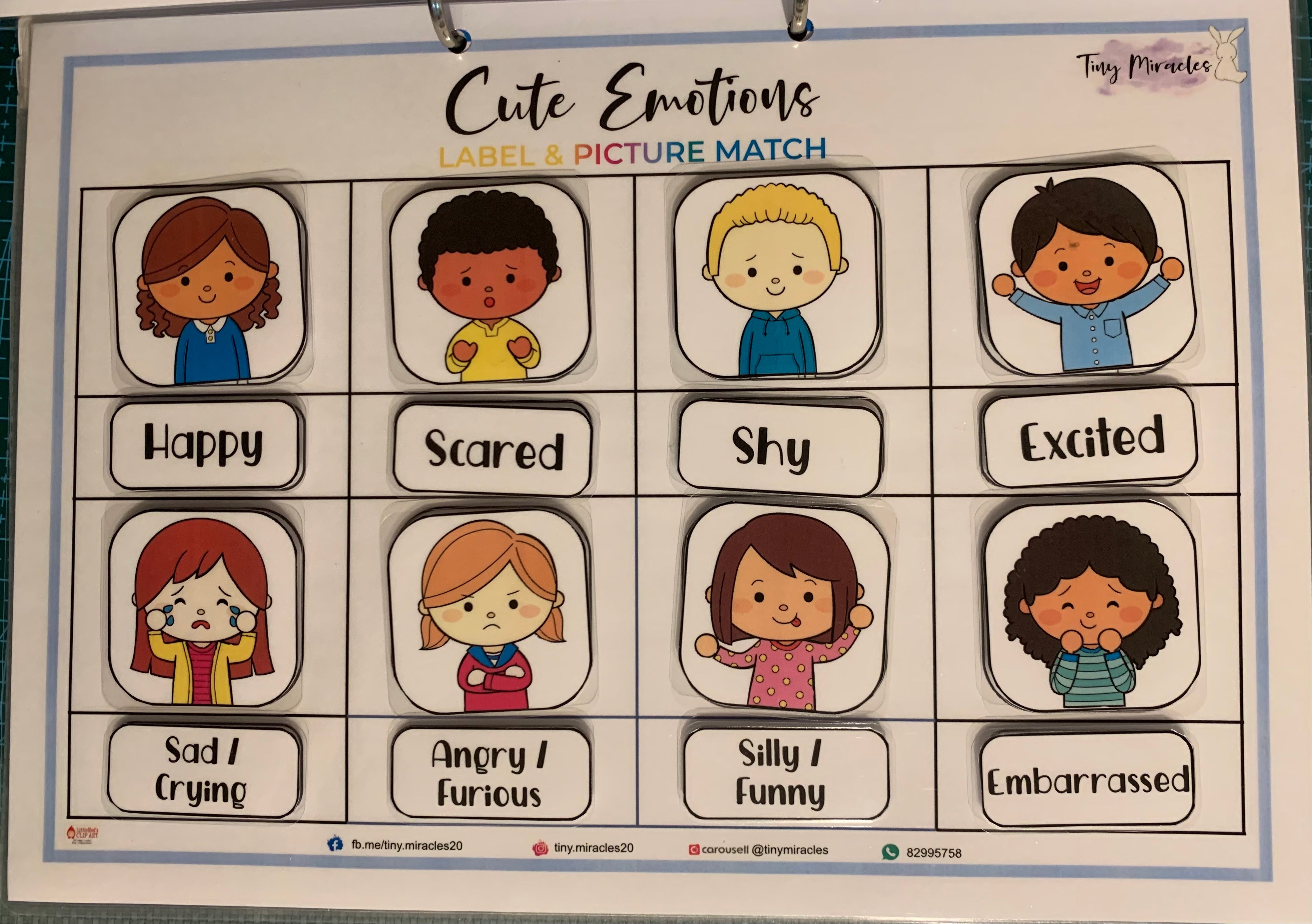 My Emotions Shadow Match (English & Chinese)