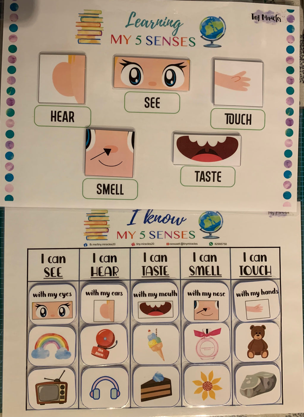 BONUS five senses with icons and text.