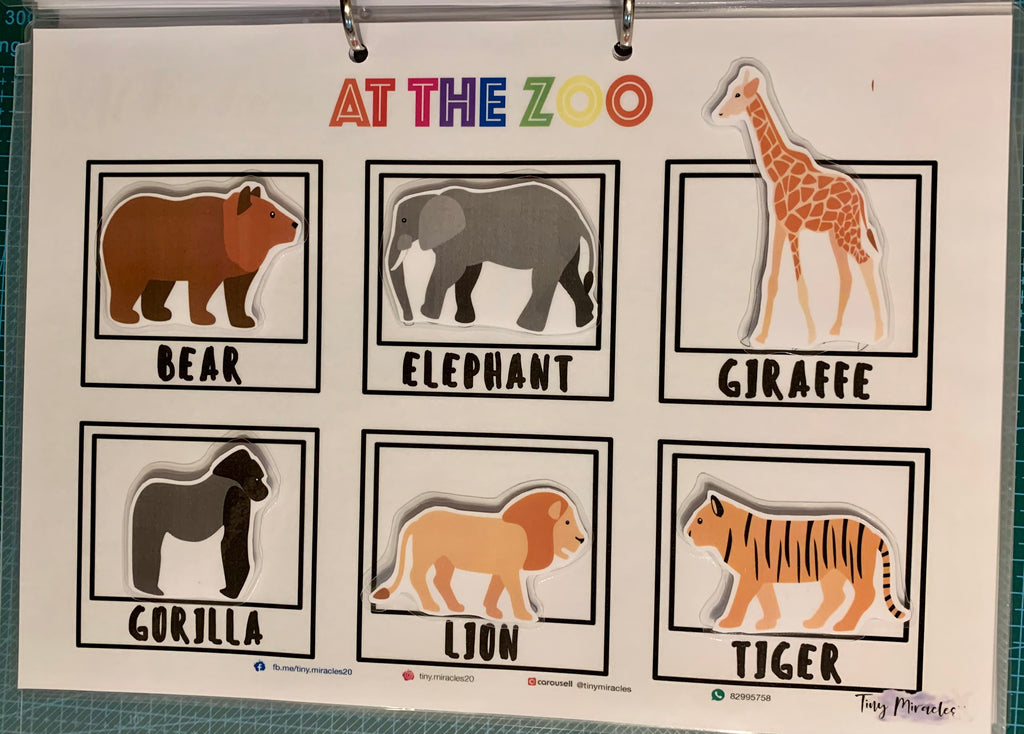 Educational poster of animals at the zoo with labels on a white background.