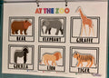 Educational poster of animals at the zoo with labels on a white background.