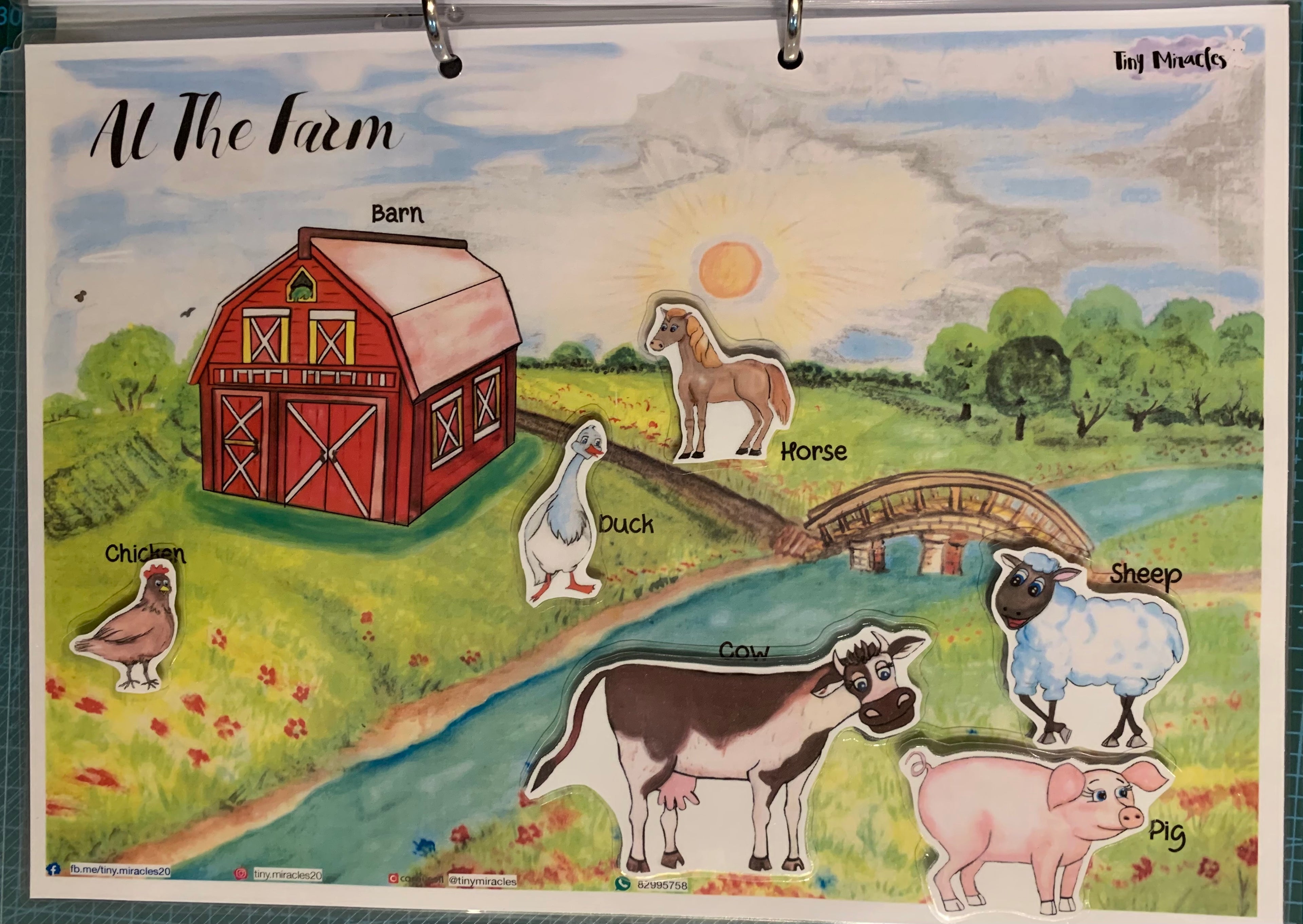 Educational farm-themed chart with animals and labels on a colorful background