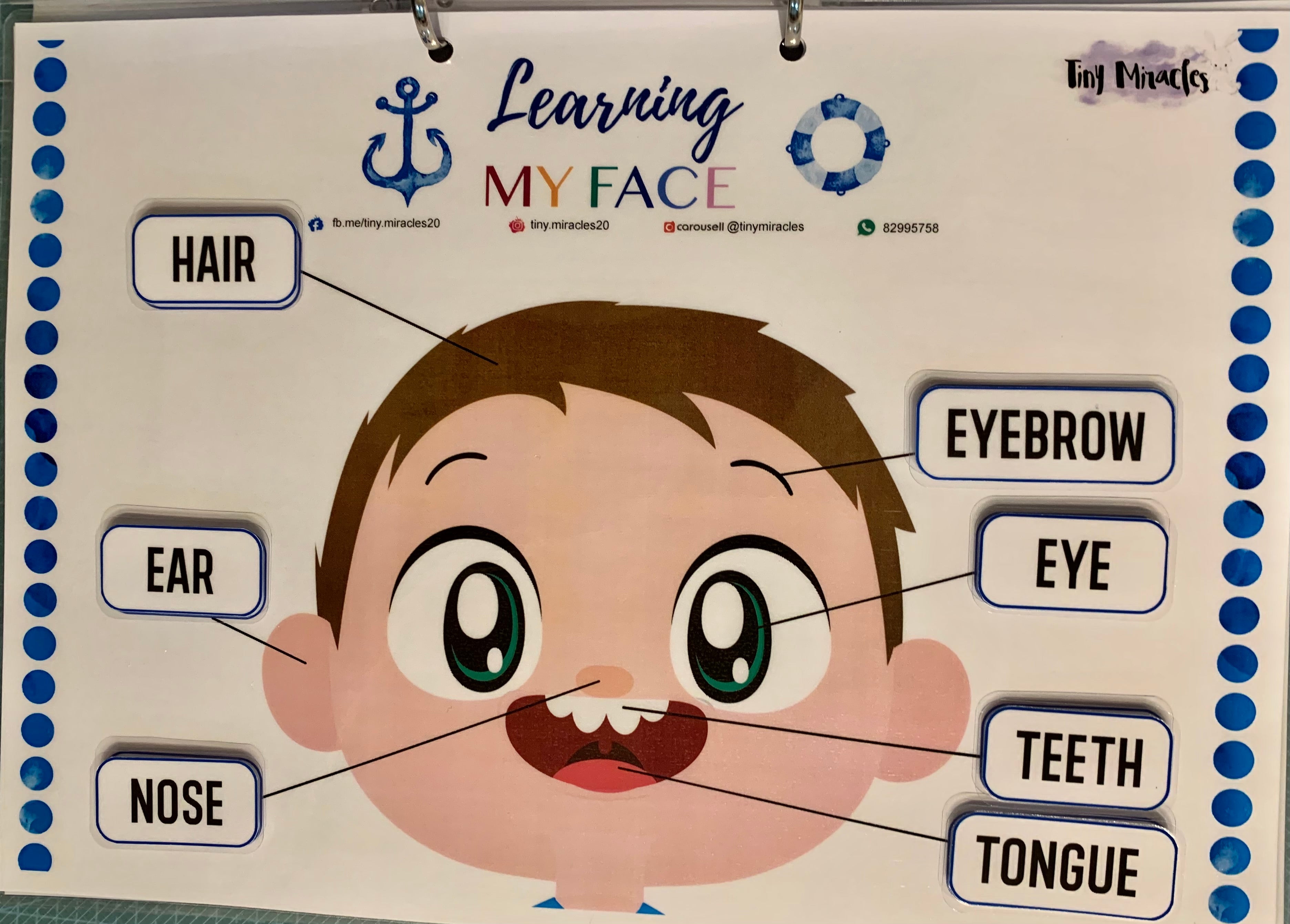 Educational chart showing parts of a face with labels on a white background.