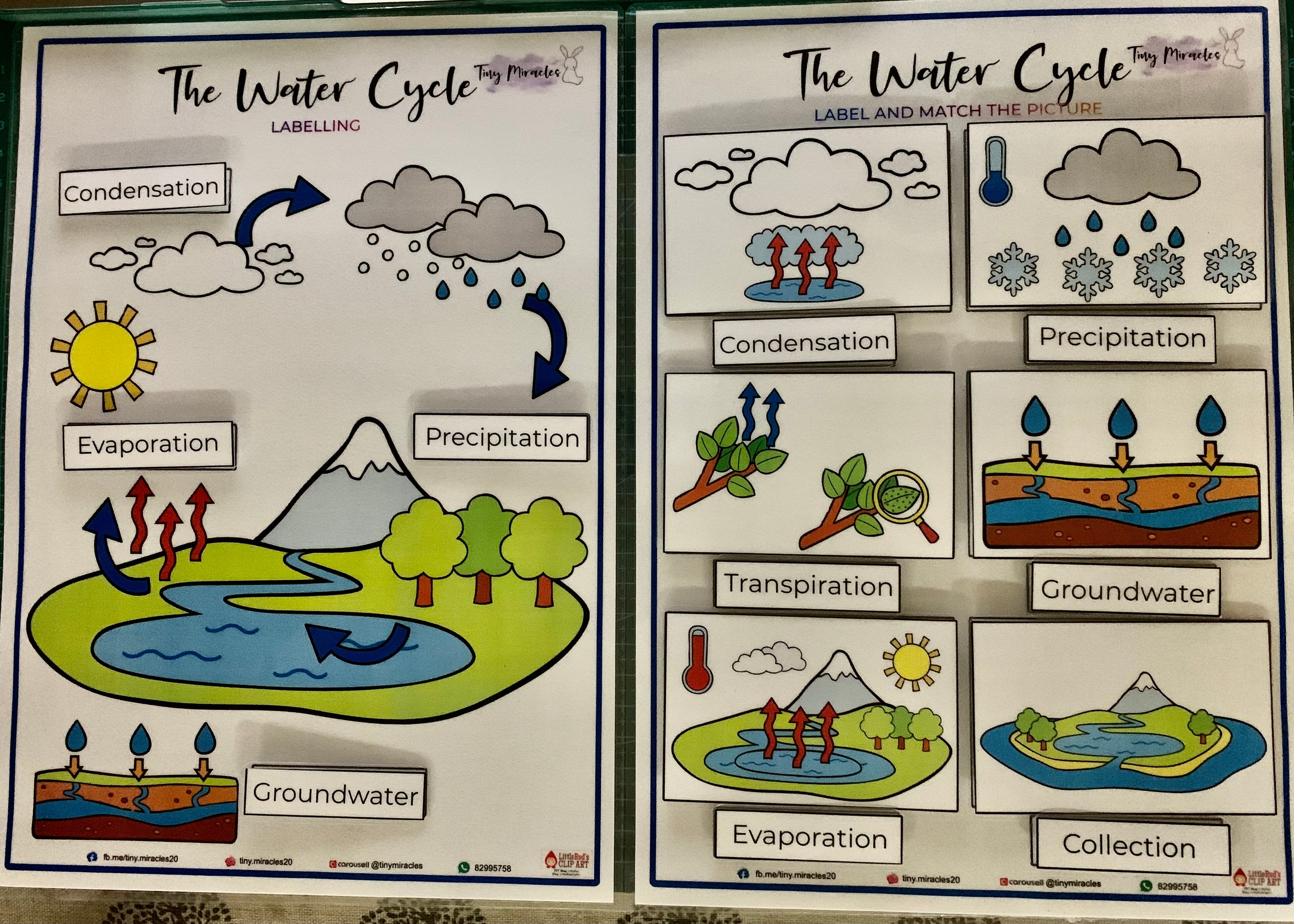 The Water Life Cycle (S01)