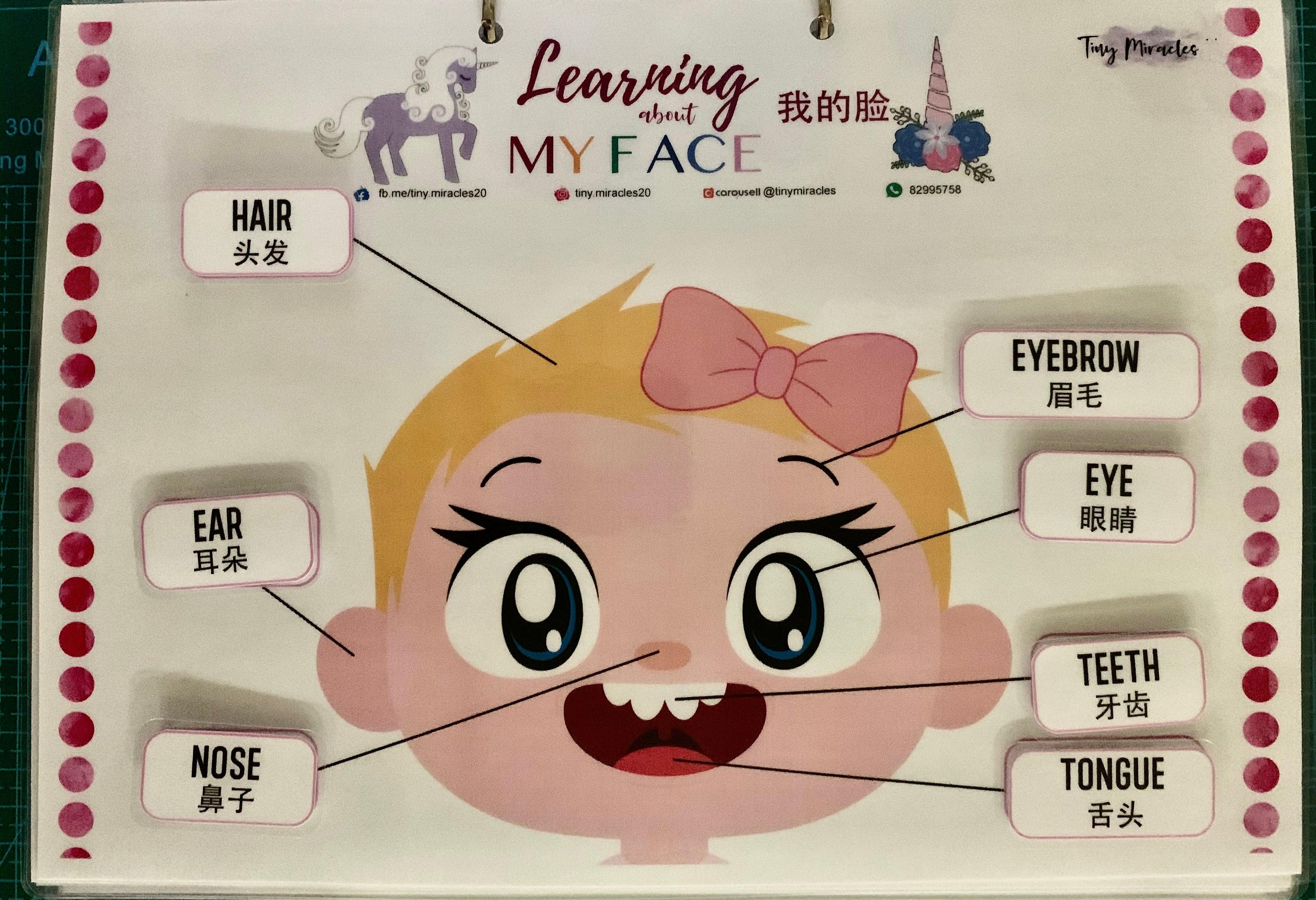 Parts of the Face | Label Matching Activity for Toddlers (English or Chinese)
