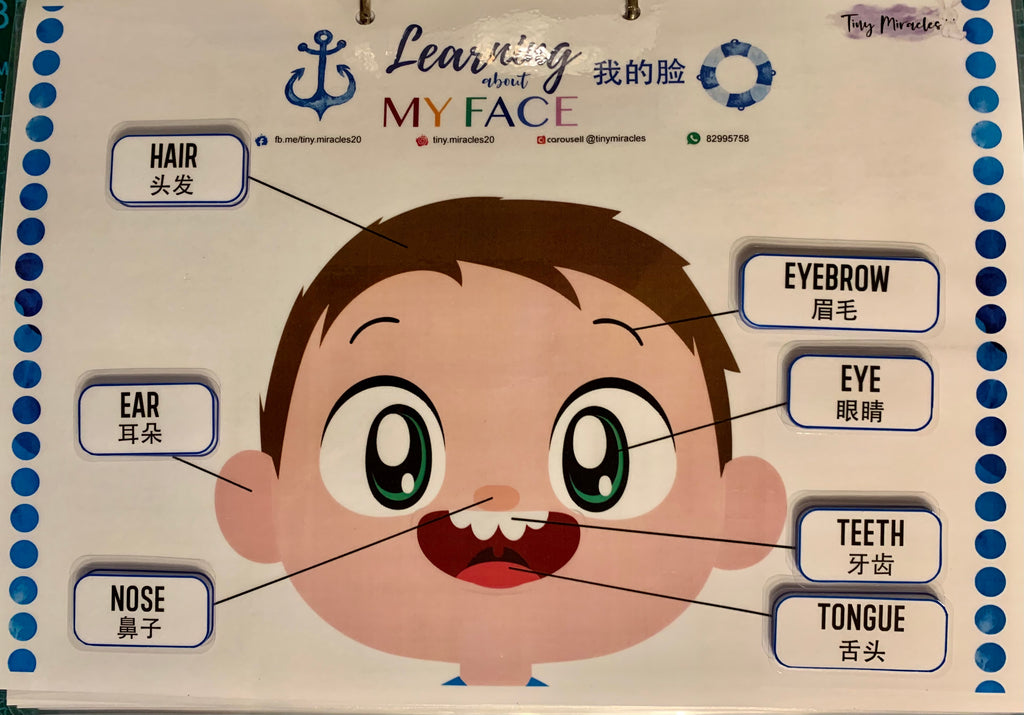 Parts of the Face | Label Matching Activity for Toddlers (English or Chinese)