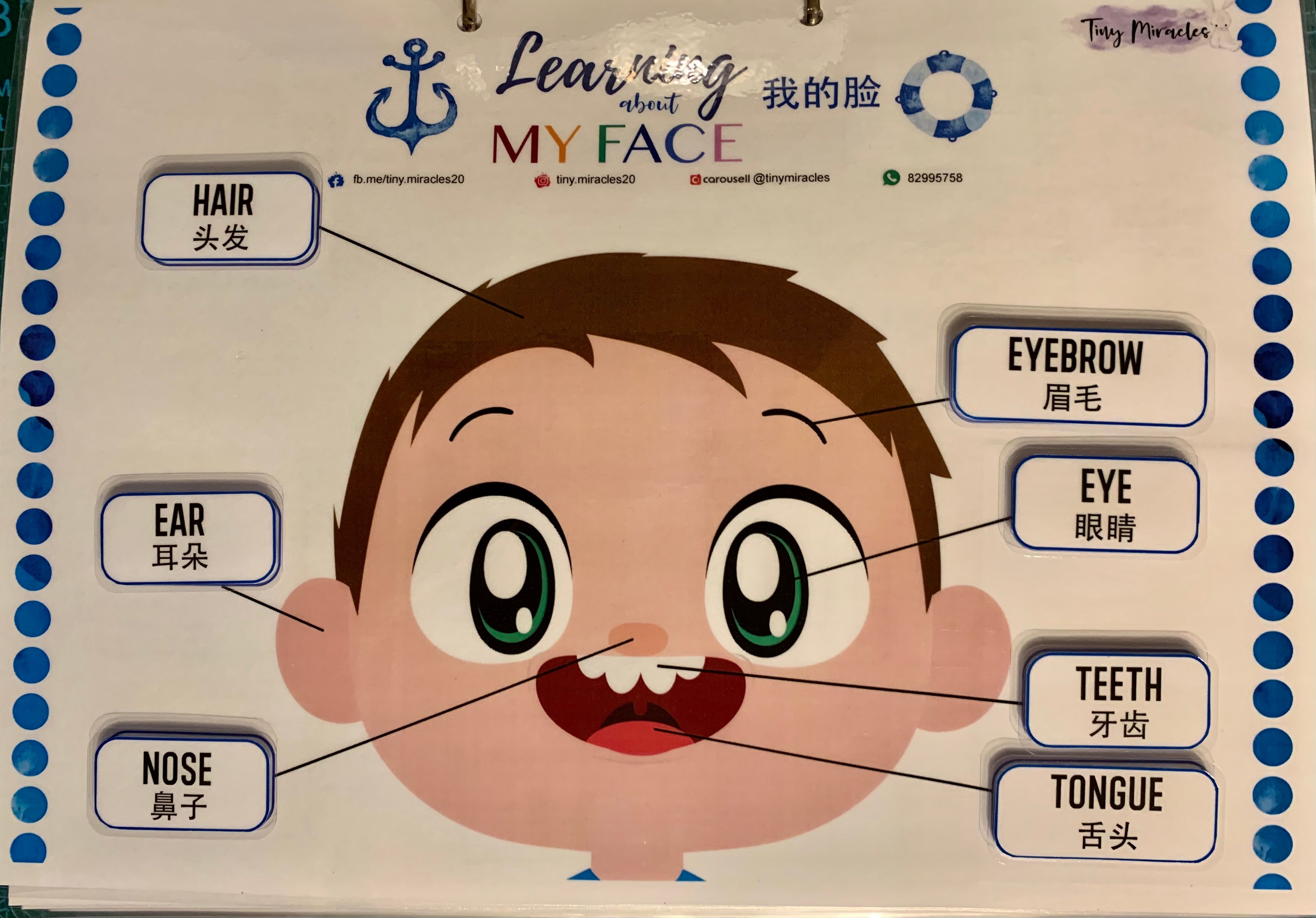 Parts of the Face | Label Matching Activity for Toddlers (English or Chinese)
