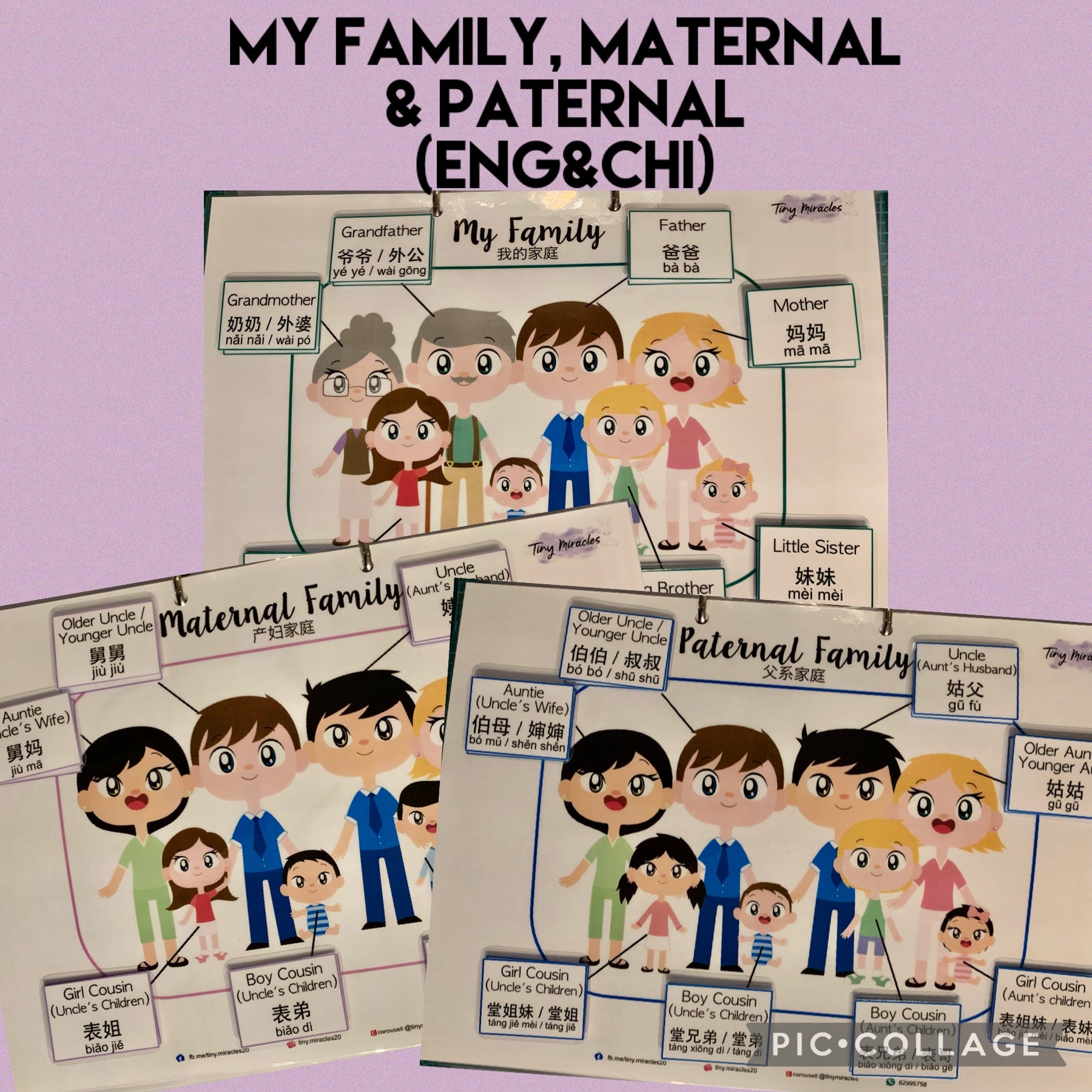 My Family / Paternal / Maternal (English & Chinese)