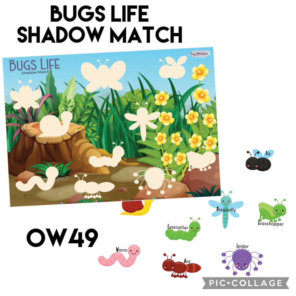 Bugs Life Shadow Match