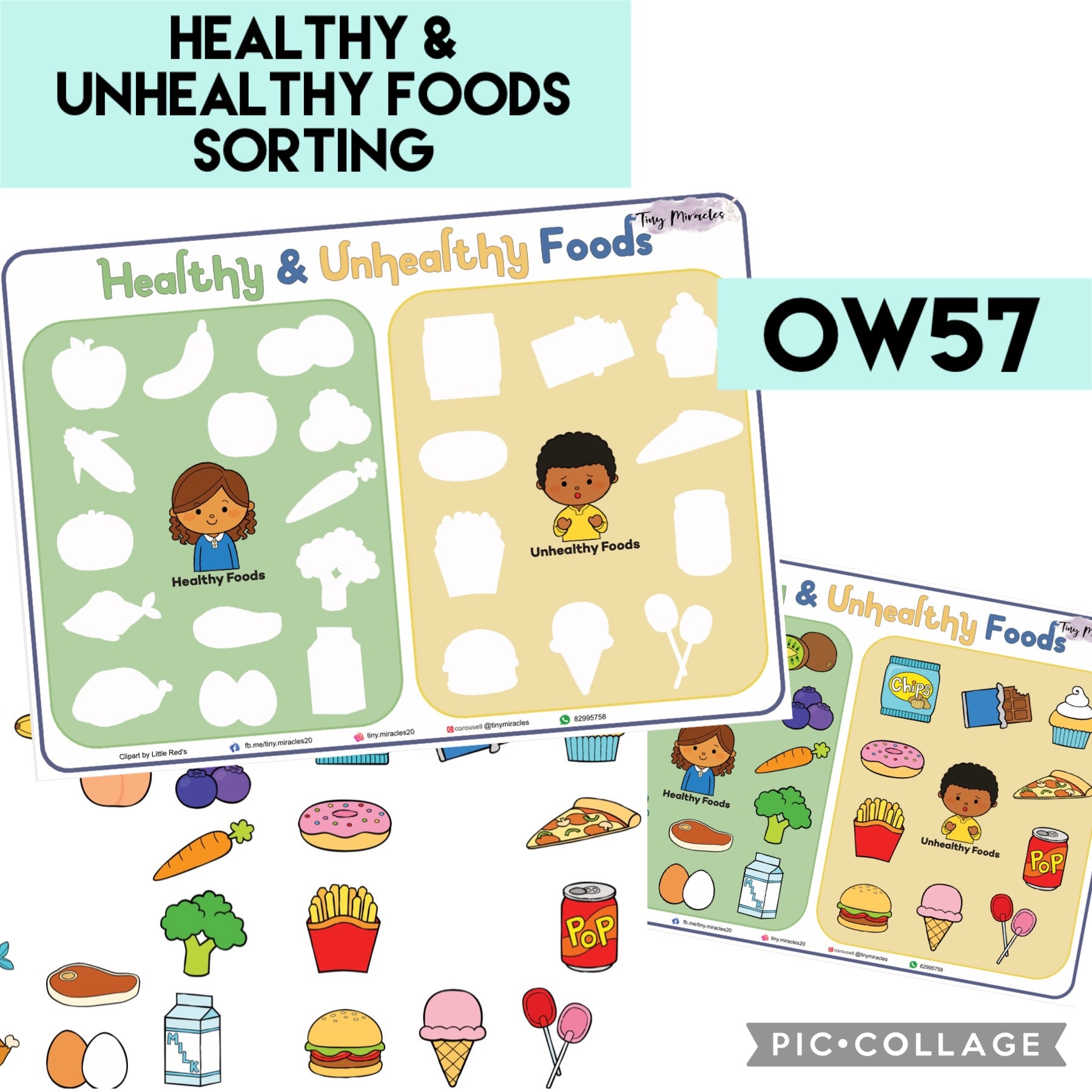 Healthy and Unhealthy Food Sorting