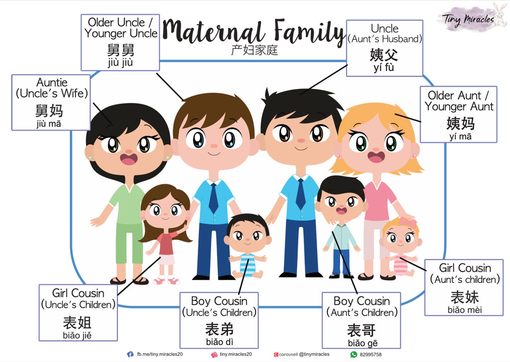 My Family / Paternal / Maternal (English & Chinese)