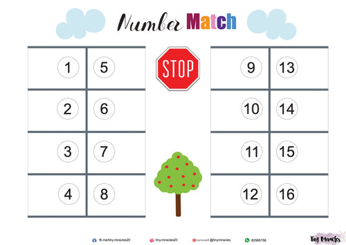 Carpark Number Match