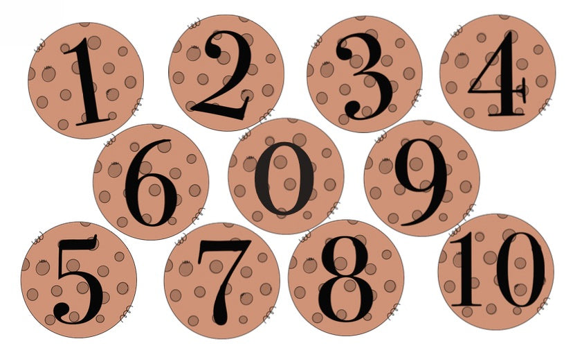 Cookie Number and Word Match