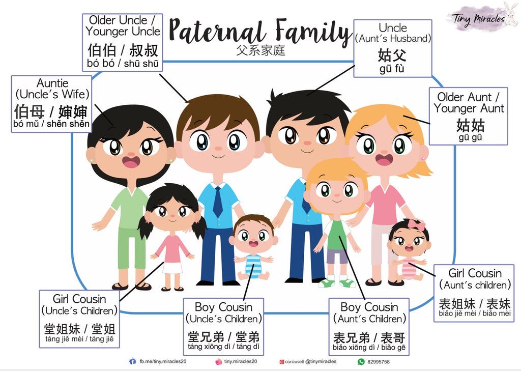 My Family / Paternal / Maternal (English & Chinese)