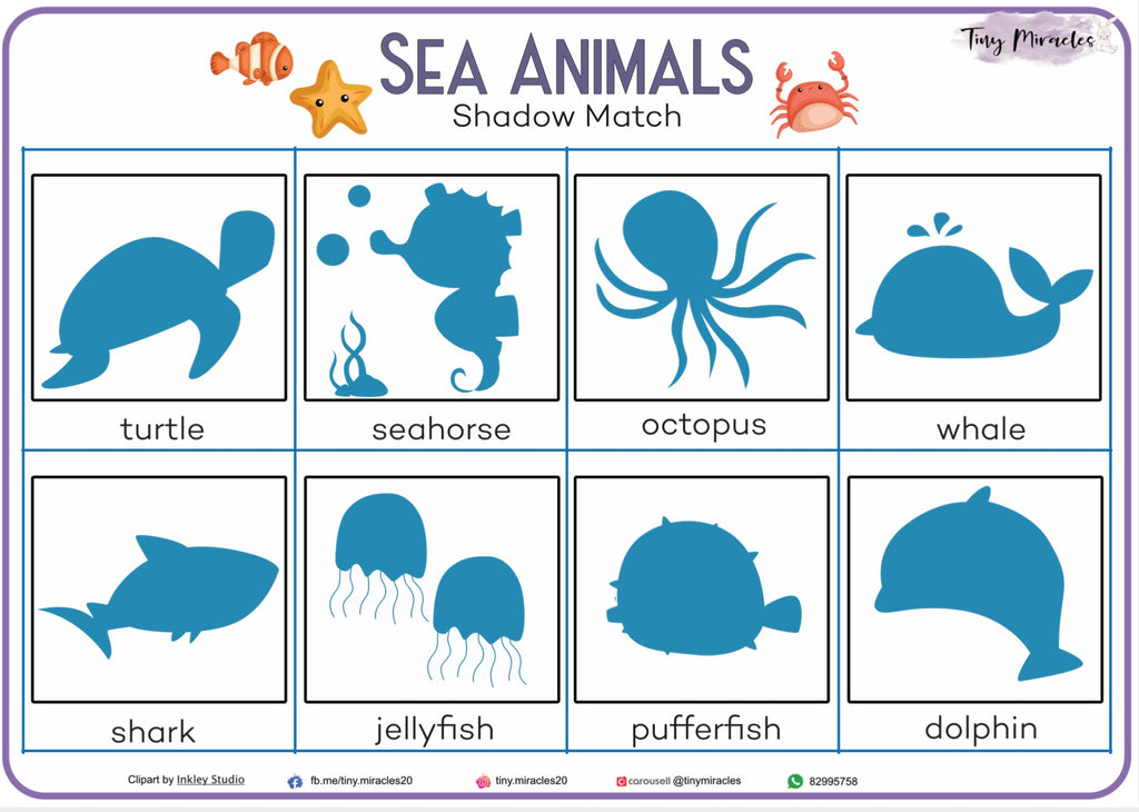 Sea Animals Shadow Match (OW64)