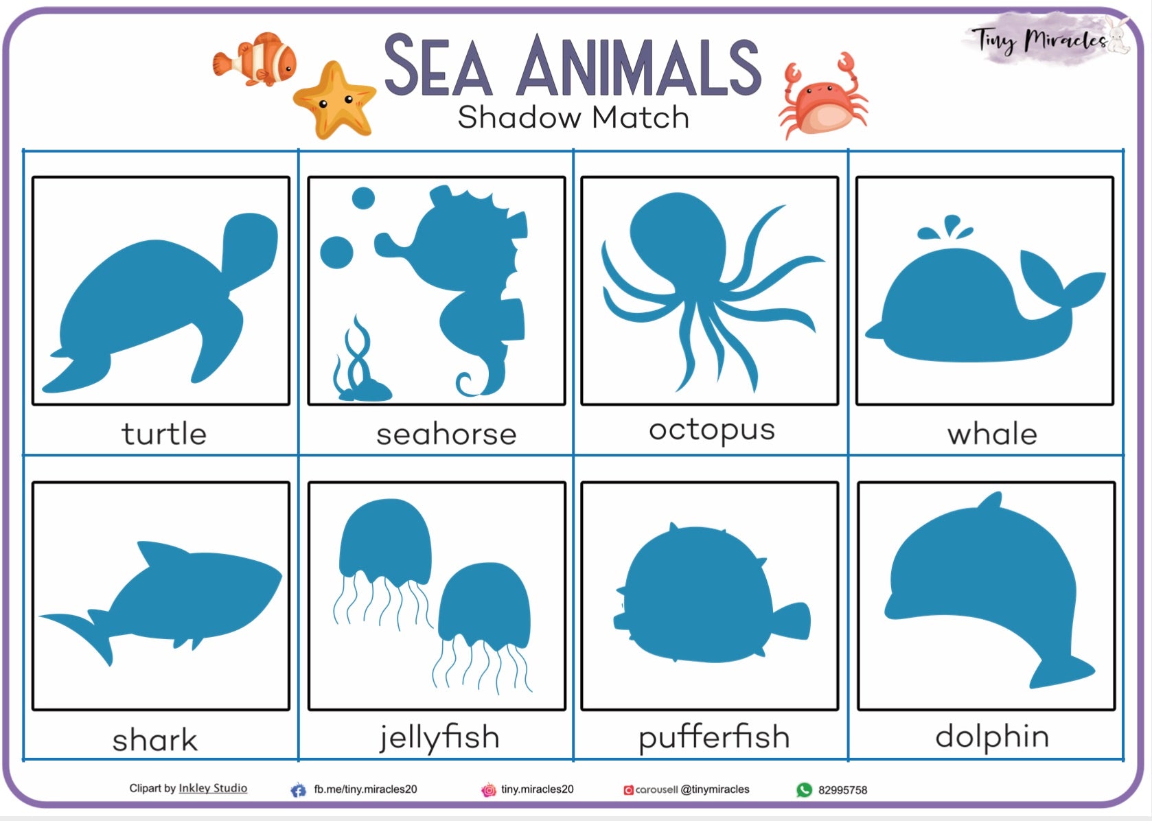 Sea Animals Shadow Match (OW64)