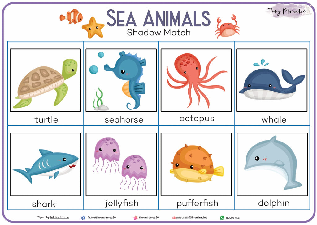 Sea Animals Shadow Match (OW64)