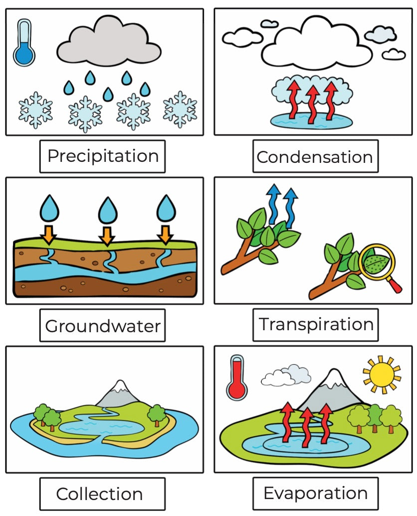 The Water Life Cycle (S01)