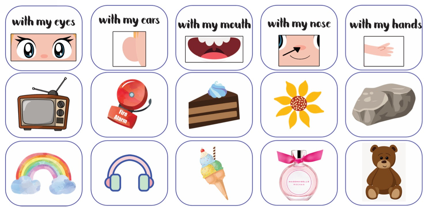 My 5 Senses Sorting