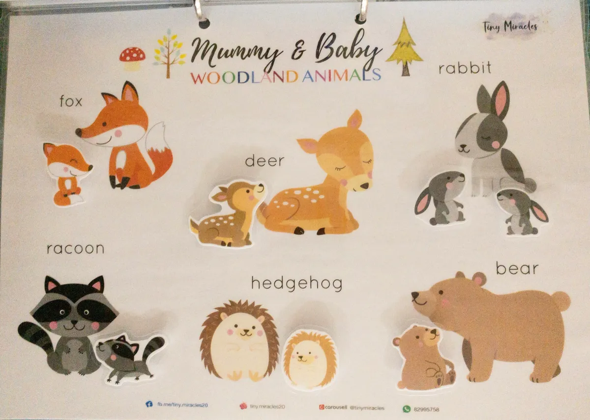 Woodland animal stickers with labels on a white background