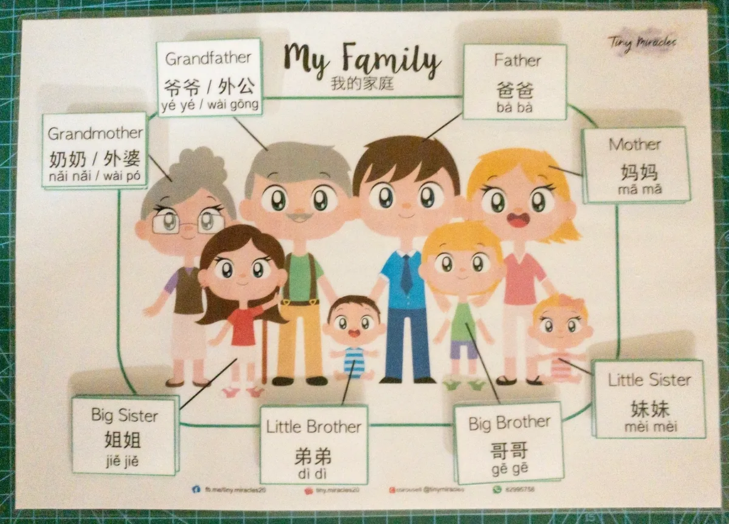 My Family / Paternal / Maternal (English & Chinese)