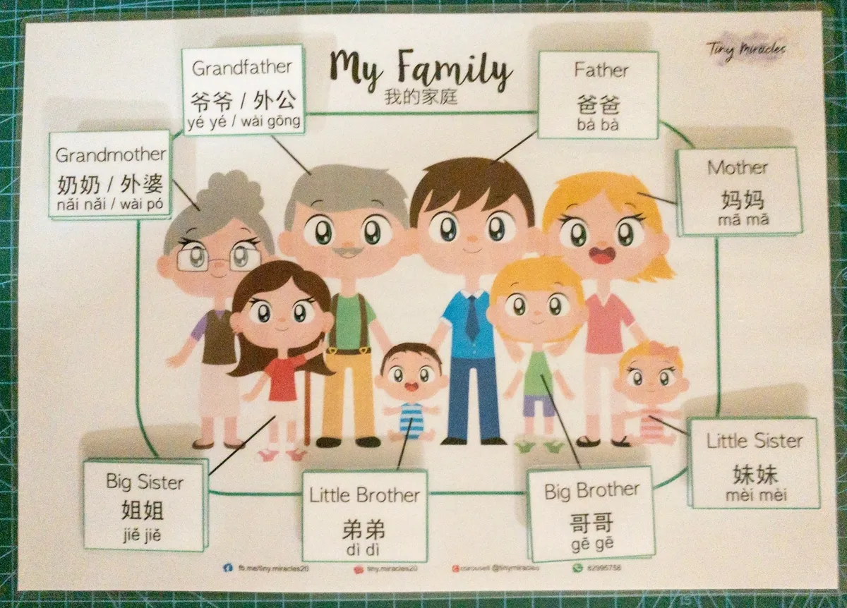 My Family / Paternal / Maternal (English & Chinese)