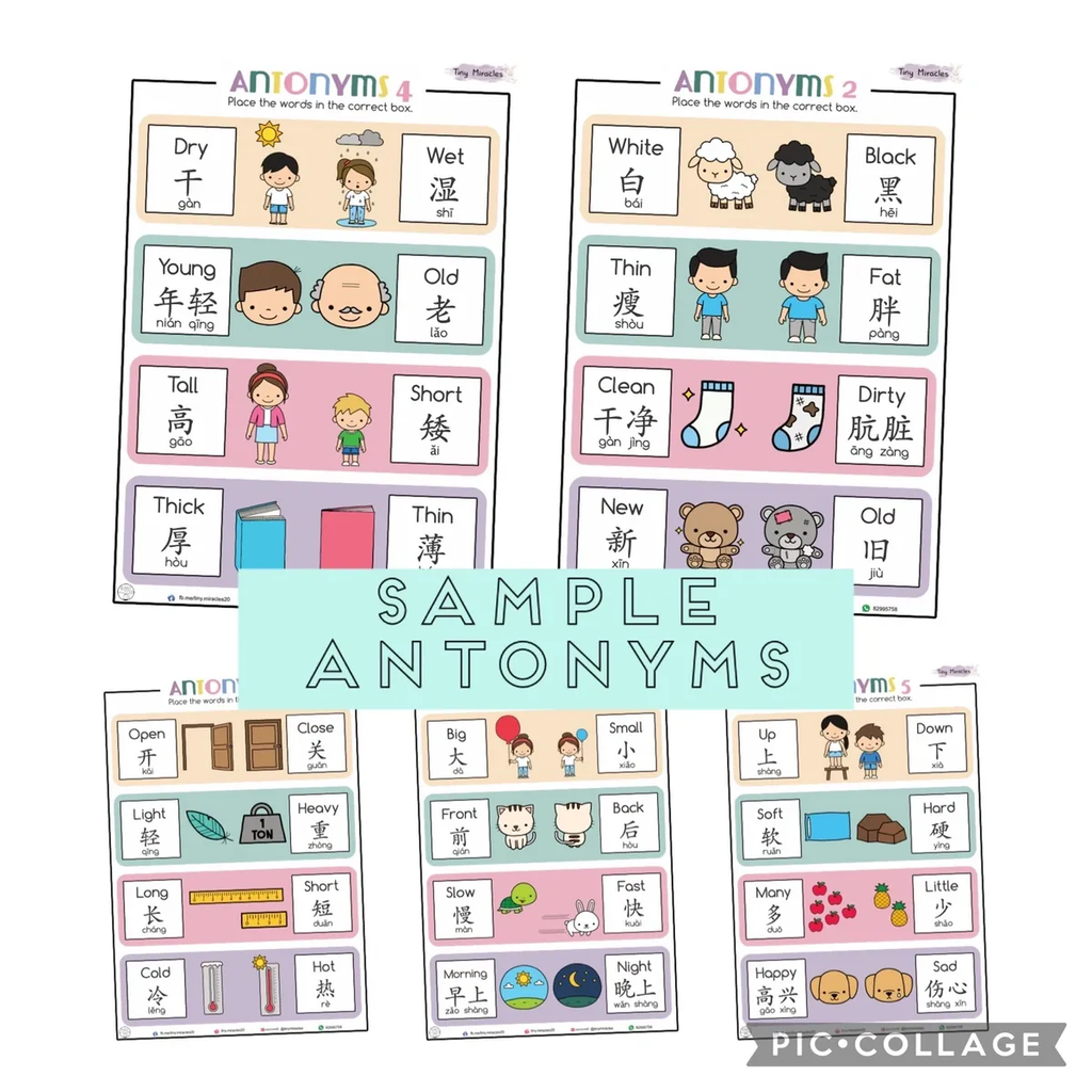Antonyms - Learning Opposites (Eng & Chi) Activity Book
