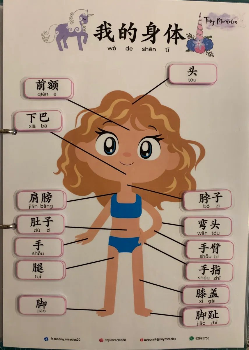 Educational poster of a cartoon girl with labeled parts of the body in Chinese