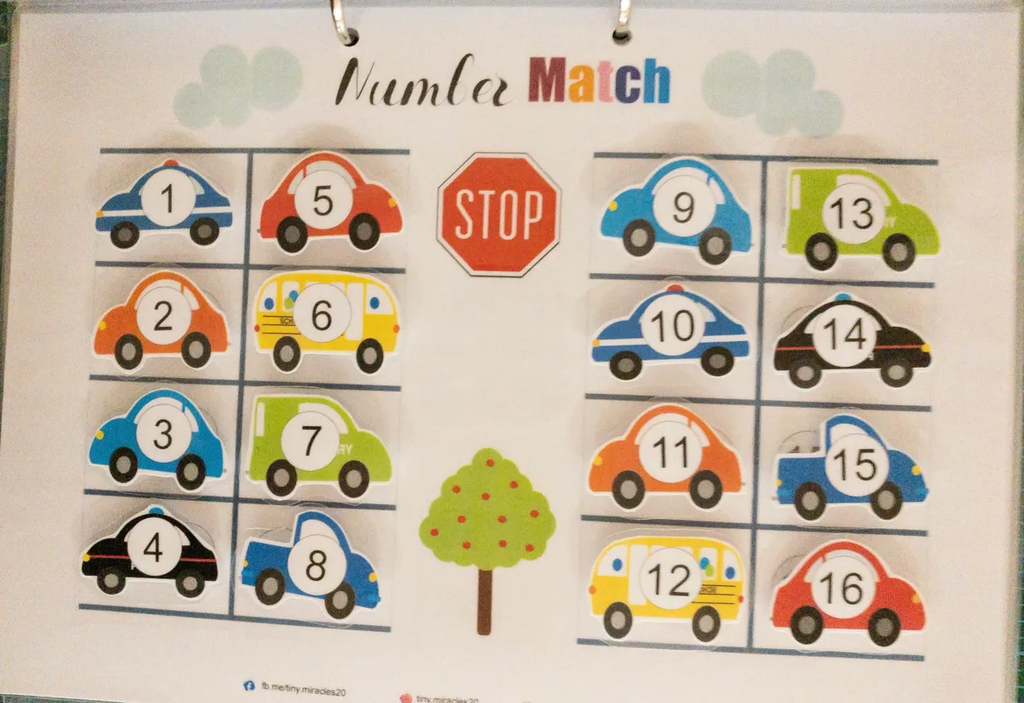 Carpark Number Match