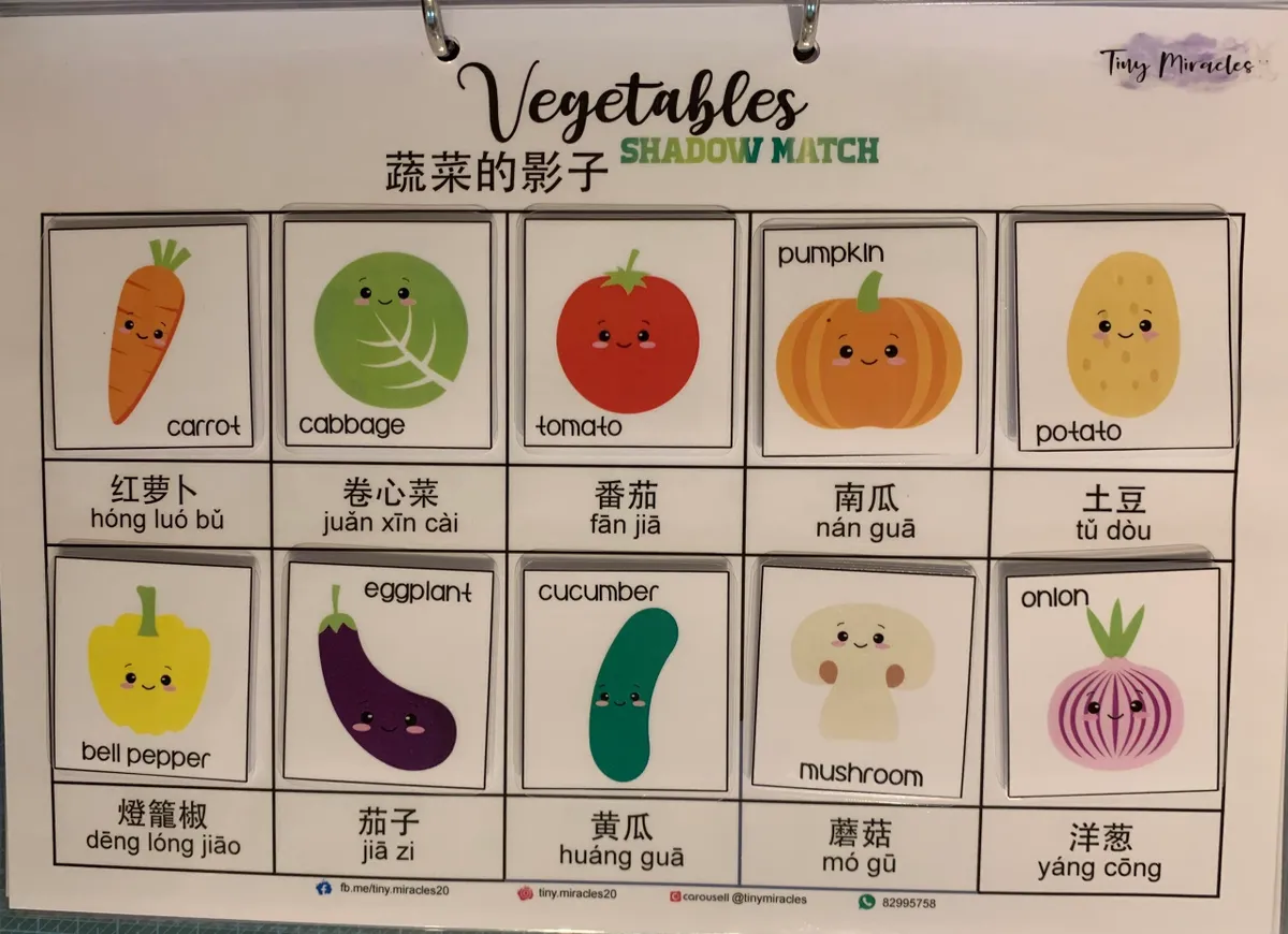 Vegetables Shadow Match (English & Chinese)