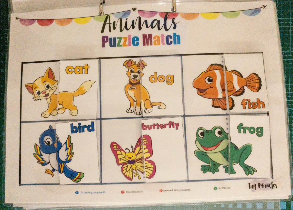 Animal Puzzle Match