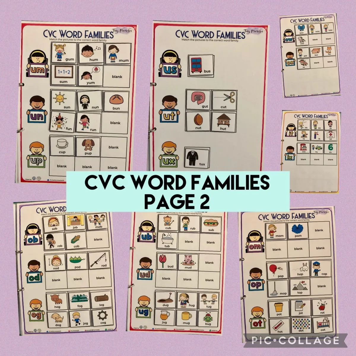 CVC Word Families Picture and Word Match
