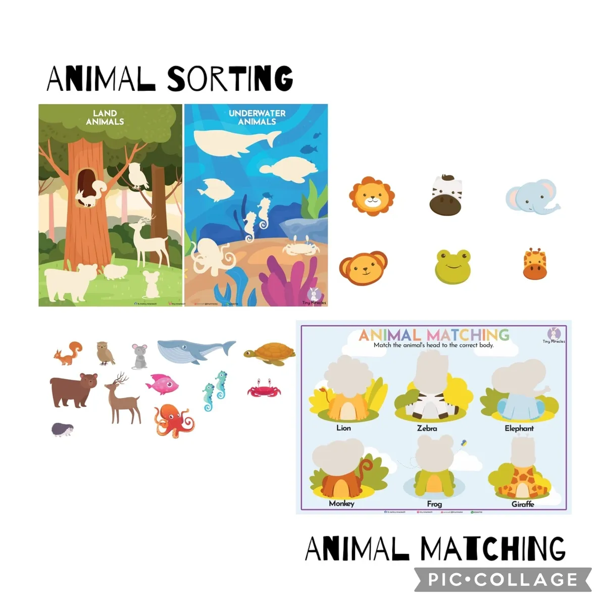 Educational animal sorting and matching game set with illustrations of animals and habitats.