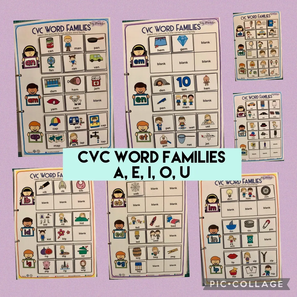 CVC Word Families Picture and Word Match
