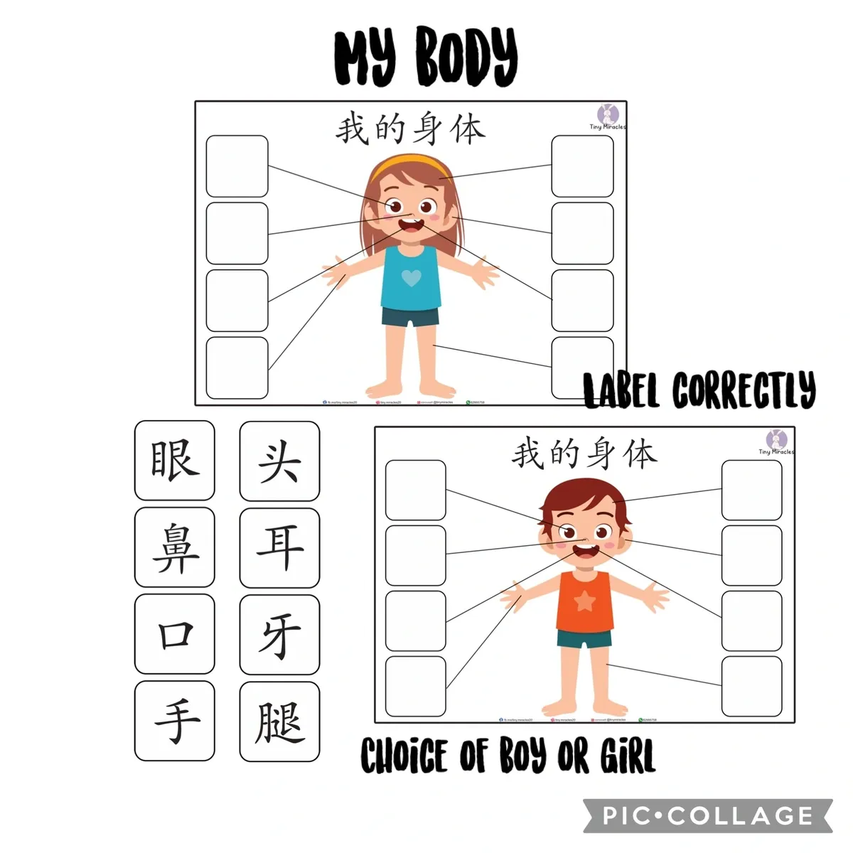 Chinese Educational worksheet for children to label parts of their body with text and images.