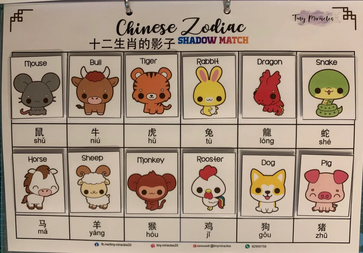 Chinese Zodiac Shadow Match (English & Chinese)
