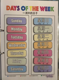 Days of the Week (English & Chinese)