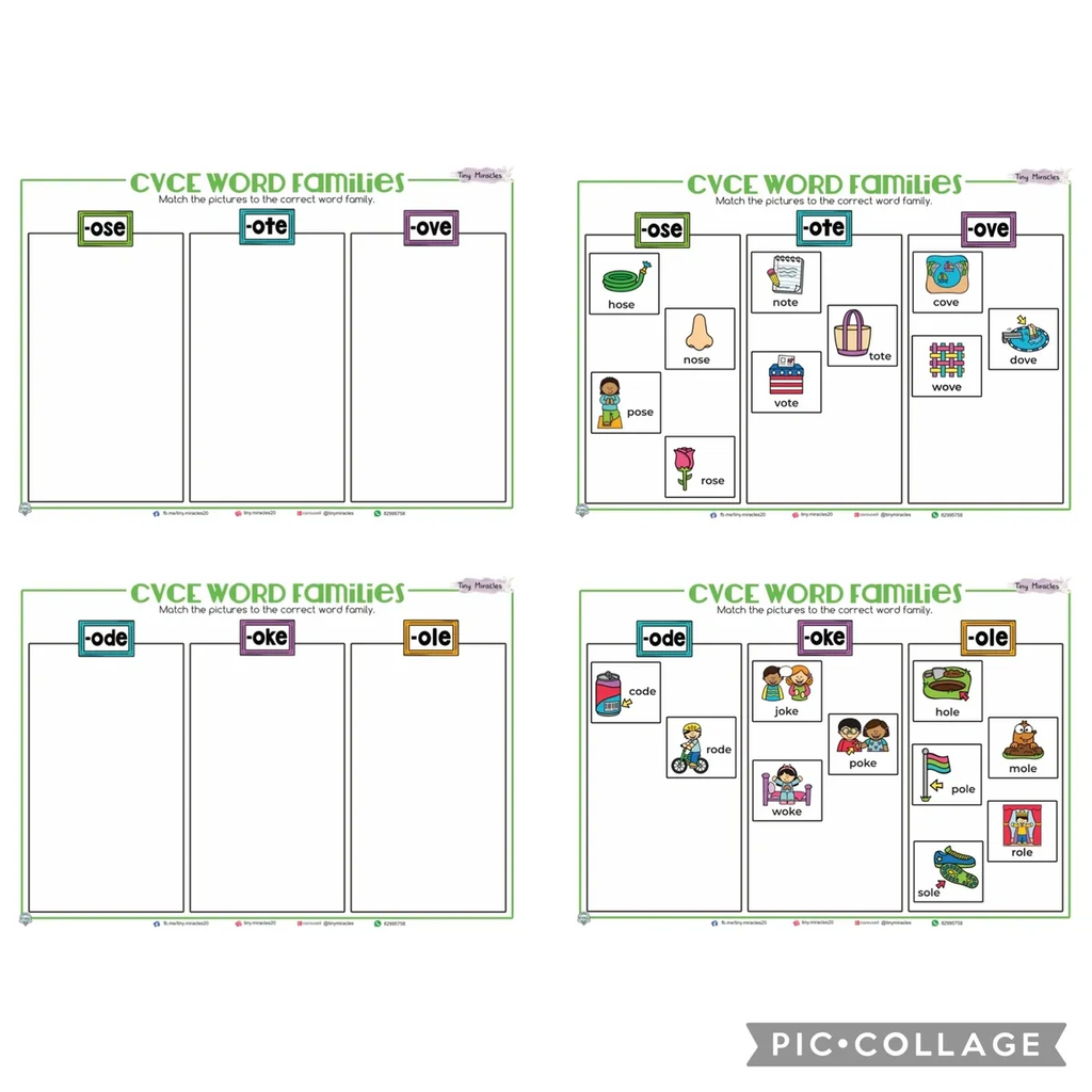 CVCe Word Families Picture and Word Match