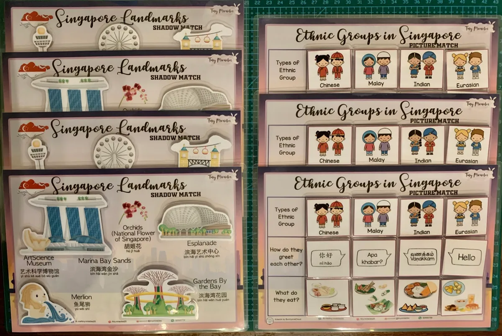 Educational flashcards about Singapore Landmarks and Ethnic Groups on a green background.